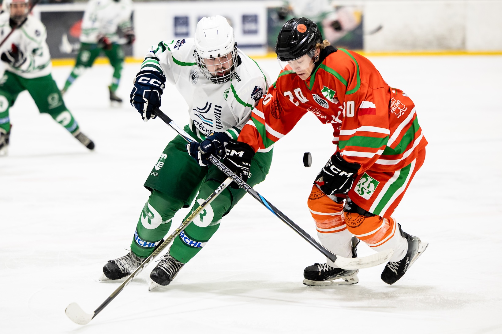 Three successful days in Győr – international EUHL matches at the Győr University Ice Sports Centre – image 14