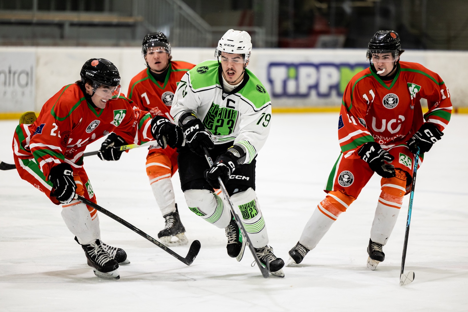 Three successful days in Győr – international EUHL matches at the Győr University Ice Sports Centre – image 3