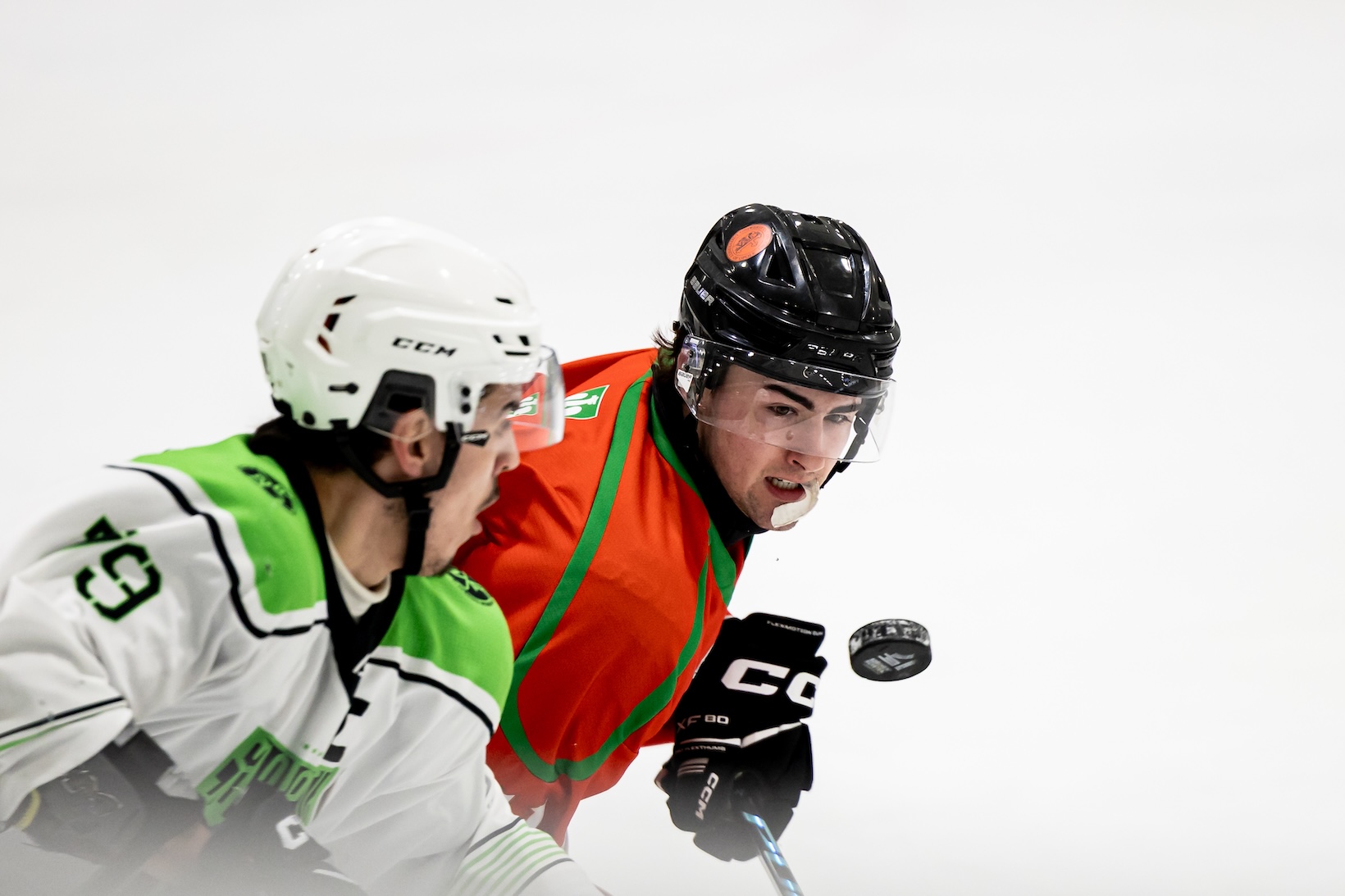 Three successful days in Győr – international EUHL matches at the Győr University Ice Sports Centre – image 5