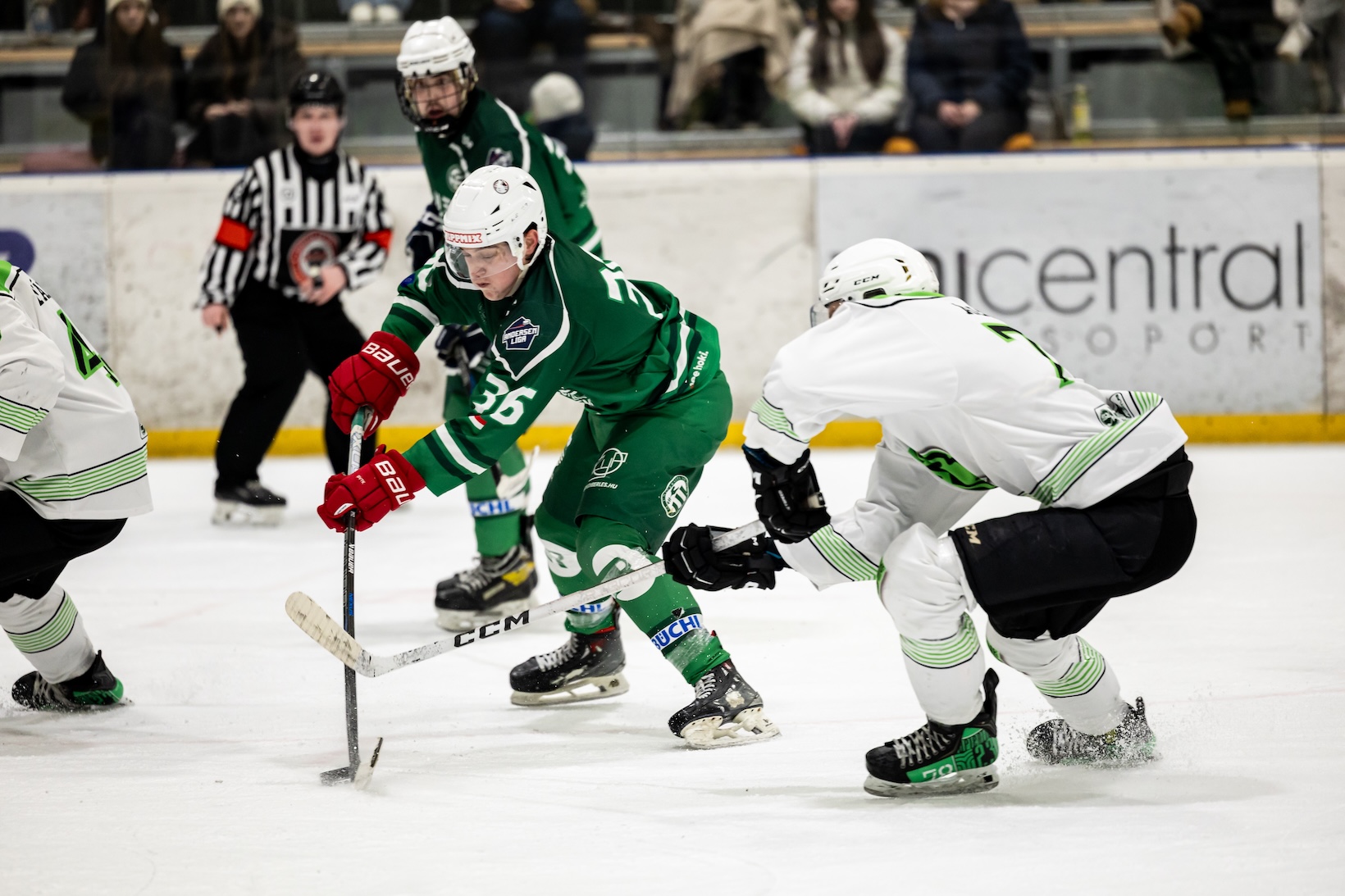 Three successful days in Győr – international EUHL matches at the Győr University Ice Sports Centre – image 7