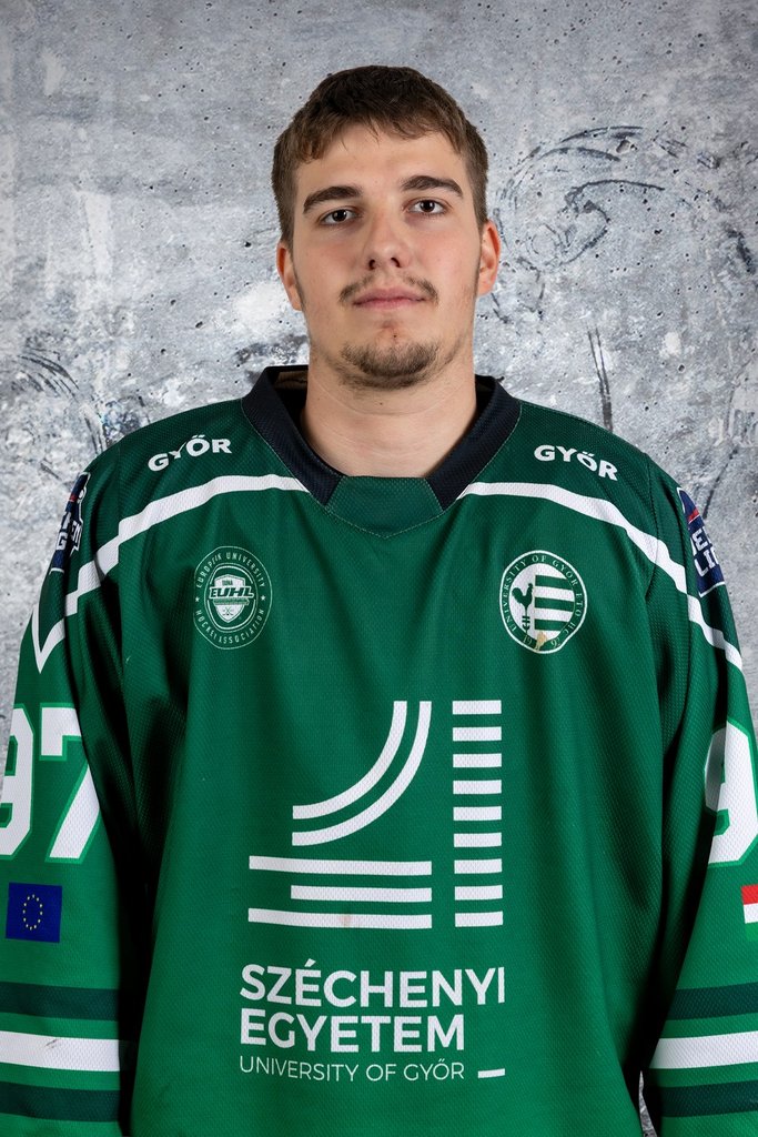 Láday Áron